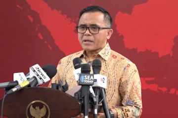 Menteri PAN-RB: Sejumlah program INA Digital siap diluncurkan terbatas