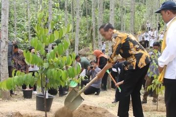 Presiden Jokowi gandeng UGM canangkan hutan konservasi di IKN