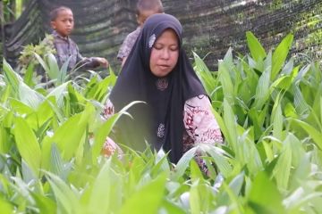 KLHK berikan akses legal perizinan hutan sosial untuk masyarakat