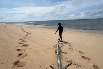 Wakatobi akan lebih mudah dijangkau berkat penerbangan langsung