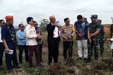 Lembah Napu diproyeksikan jadi kawasan industri sapi perah di Sulteng