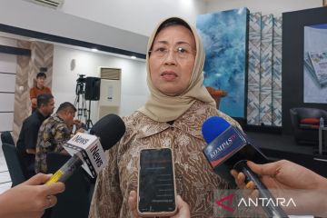 Dewan Pers fasilitasi pengaduan melalui daring untuk mempermudah