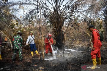 Petugas gabungan berjibaku padamkan karhutla di Muara Enim