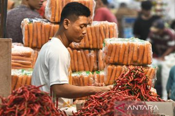 BPS DKI: Harga cabai rawit dan merah terendah dalam dua tahun terakhir