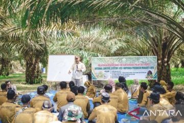 PTPN IV Regional III Riau rangkul 1.584 petani peroleh Sertifikat RSPO