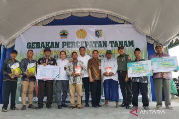 Kementan ajak petani tanam padi serempak pada Oktober 2024