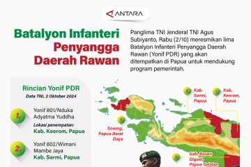 Batalyon Infanteri Penyangga Daerah Rawan