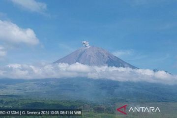 Semeru erupsi dengan letusan setinggi 500 meter di atas puncak