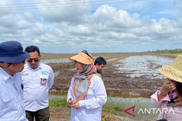 Kementan dampingi petani millenial kembangkan pertanian modern