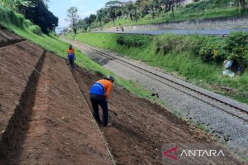 Daop 2 tanam 9.236 akar wangi antisipasi longsor akibat curah hujan