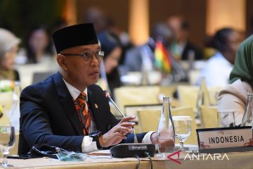 Anggota DPR: Dunia harus bersatu hentikan genosida di Palestina