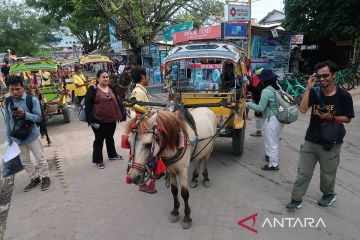 Pemprov NTB: Desa wisata jadi sumber pendapatan baru bagi daerah