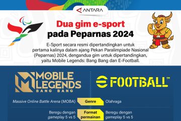 Dua gim e-sport pada Peparnas 2024