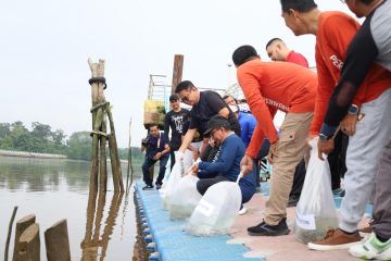 Pemkab tabur 20 ribu benih ikan patin ke Sungai Siak