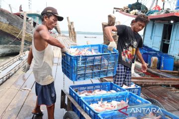 KKP buka 30 lokasi tingkatkan pelayanan perizinan di tempat