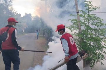 Trenggalek mulai mitigasi wabah demam berdarah jelang musim penghujan