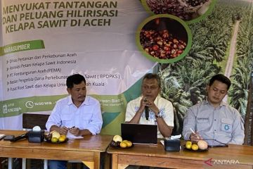 Distanbun ajak petani sawit Aceh percepat sertifikasi ISPO