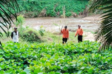 SAR Gabungan temukan warga yang hilang tiga hari di hutan