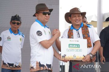 Menkop UKM mengapresiasi Festival Ternak Domba-Kambing Pemkab Bogor