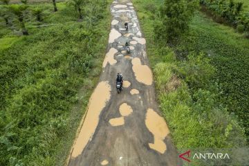 Begini kondisi jalan provinsi di perbatasan Tanjung Jabung Timur - Muaro Jambi