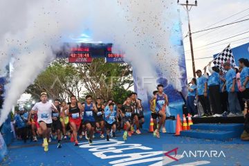 Dispar: Togean Half Marathon upaya dongkrak angka pergerakan wisata