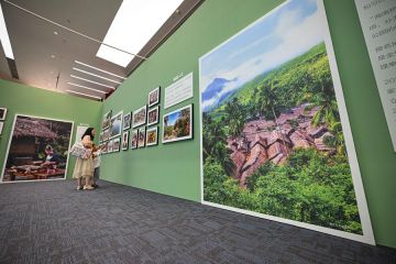 Pameran bertema keindahan hutan hujan di Hainan, China selatan