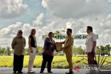 Menteri LHK: Global bantu tekan deforestasi karena komitmen pemerintah