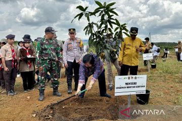 Kalsel kick off FOLU Net Sink 2030 bersama KLHK dan Dubes Norwegia