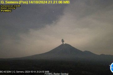 Gunung Semeru erupsi dengan letusan setinggi 900 meter 