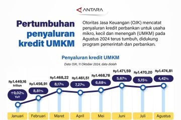 Pertumbuhan penyaluran kredit UMKM