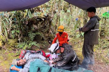 Tim SAR evakuasi dua pendaki dari Gunung Gandang Dewata Mamasa