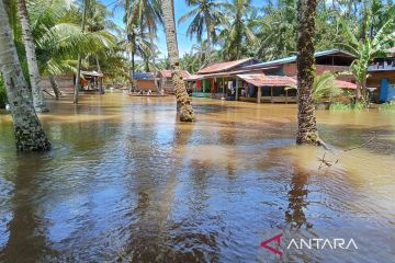 BPBA: Banjir masih genangi permukiman warga Subulussalam dan Singkil