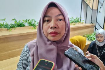 Elit partai masuk kabinet berdampak lemahnya pengawasan parlemen