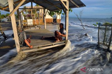 Gelombang pasang terjang pantai Pasir Jambak di Padang