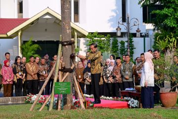 Jokowi-Iriana tanam pulai dan flamboyan di istana jelang purnatugas