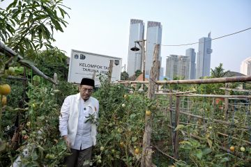 "Jakarta Urban Farming Projects" untuk perkuat ketahanan pangan