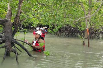 PT Timah pantau kualitas biota laut di lingkar tambang