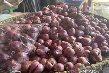 Harga komoditas pangan 19 Oktober, bawang merah Rp29.520 per kg