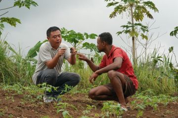 Feature: Keahlian pertanian China tingkatkan praktik pertanian di Sao Tome dan Principe (Bagian 2)