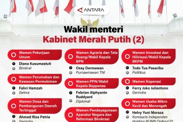 Daftar wakil menteri Kabinet Merah Putih (2)