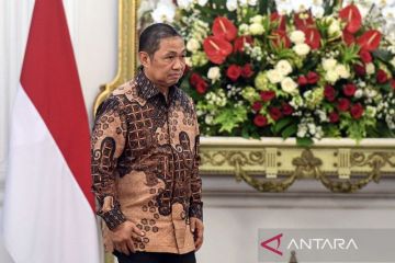 Anis Matta, Wamenlu dunia Islam