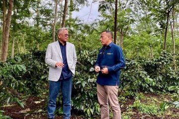 PTPN IV PalmCo sebut produksi "Java Coffee" sudah tembus pasar global