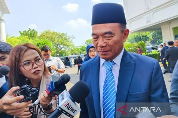 Raffi Ahmad hingga Muhadjir memasuki Istana jelang pelantikan