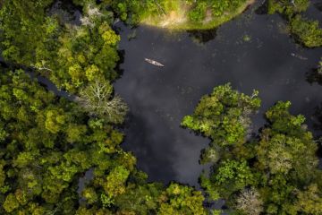 196 negara hadiri KTT COP16 keanekaragaman hayati PBB di Kolombia