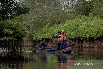 PT KPI Project Cilacap tanam 75.000 mangrove untuk konservasi dan jaga ekosistem segara anakan, Cilacap, Jateng