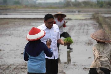 Wamentan: 3 juta hektare sawah dicetak demi ketahanan pangan Indonesia