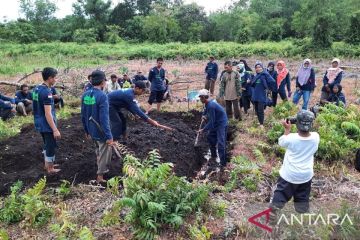 Greenpeace: Restorasi lahan gambut 10 tahun terakhir tidak memuaskan