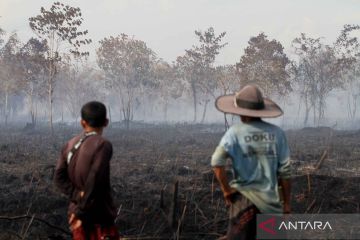 Kawasan lahan gambut di Aceh dilanda kebakaran