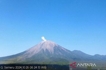 Gunung Semeru beberapa kali erupsi dengan letusan hingga 600 meter