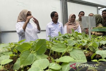 Menhut minta bibit pohon untuk masyarakat fokus ke HHBK